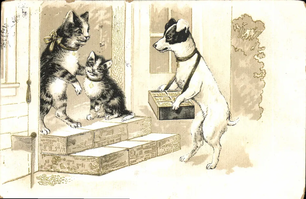 Cachorro entregador — dois gatos — editor anônimo - Frente