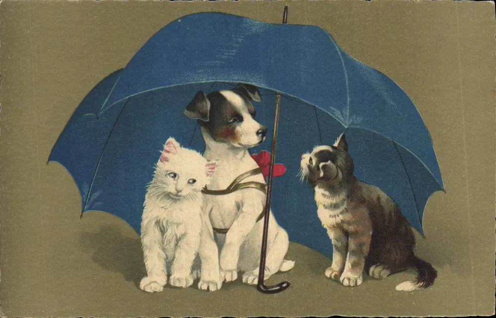 Cachorro e dois gatos sob um guarda-chuva azul — ilustração colorida — editor não identificável - Frente