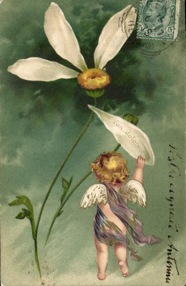 Cupidon sob uma flor branca — texto 'con dolore' — editor desconhecido - Frente