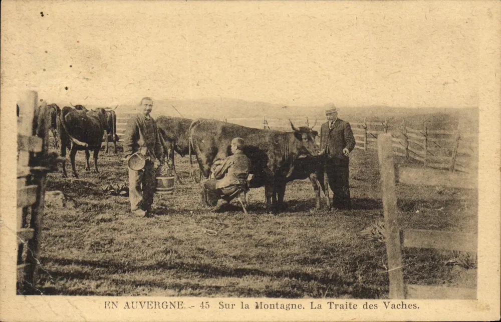 In der Auvergne — Auf dem Berg. Die Kälberverkauf — Verlag Maron Laborde - Vorderseite