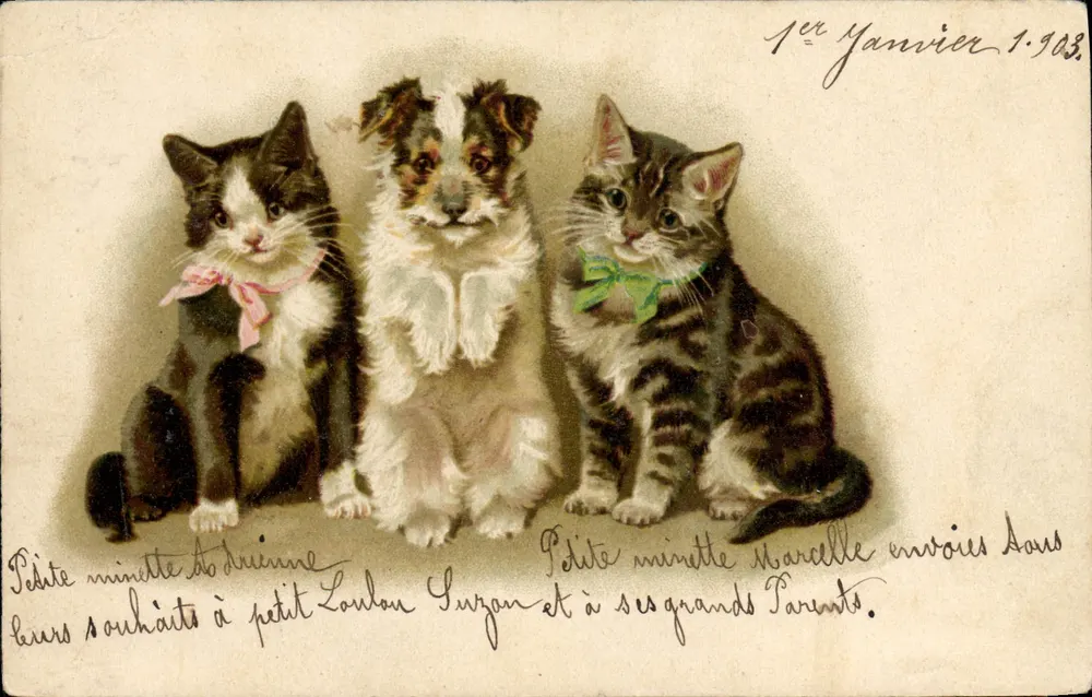 Três animais — filhotes de cão e gato — editor desconhecido, número de série não visível - Frente