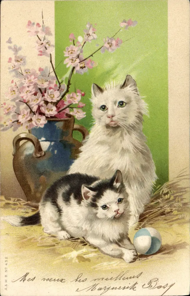 Dois filhotes de gatos — um branco e um tigre — com cerejeira em vaso e balão — A.&M.B. N° 432, editor Bosq - Frente