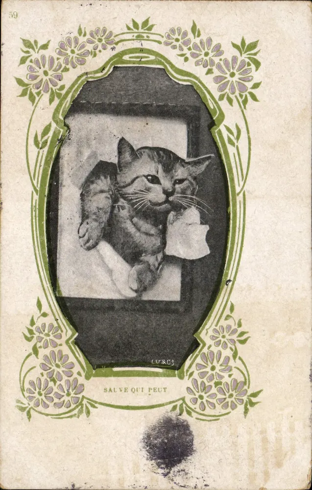 Kat voor een raam — 'Red jezelf' — LV&CS, n°59 - Voorkant