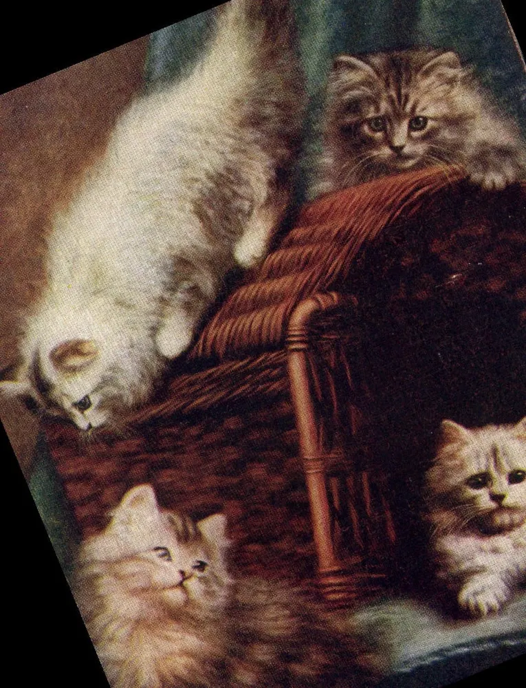 Cinco gatos filhotes — cena interior — C.W. Faulkner & Co. Ltd. série CWF - Frente