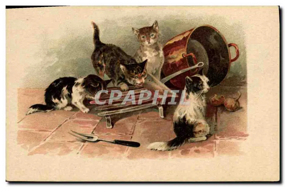 Cinco gatos filhotes em uma cozinha — editor A LA GRANDE MAISON, Paris-Lyon-Marselha-Lille - Frente