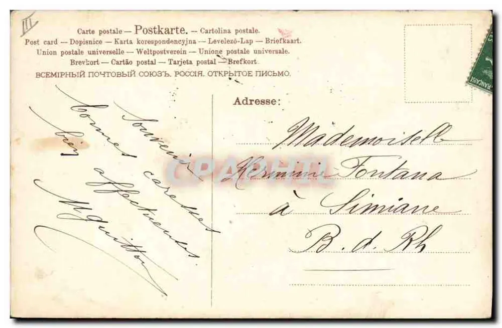 Gato preto — colar amarelo — A.&M.B. N° 531 - Verso