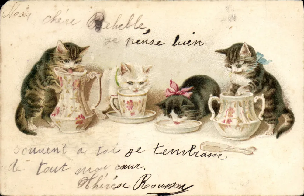 Quatro gatos filhotes brincando com recipientes — editor A. AMBROISE, número de série não visível - Frente