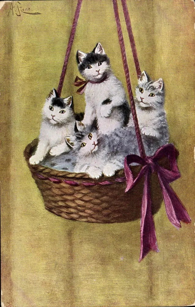 Quatro gatinhos em um cesto suspenso — desenho assinado por A. Tane — série 216 - Frente