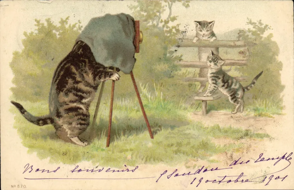 Gato fotografando dois filhotes — editor anônimo, n° 870 - Frente