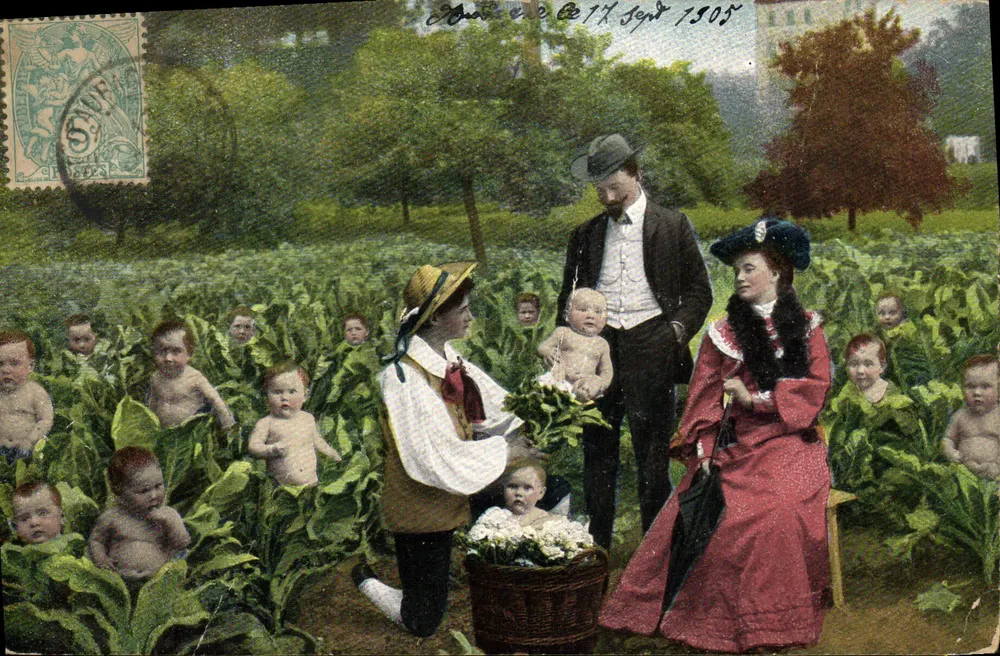 Familie und Kinder in einem Kohlfeld — unbekannter Verlag, Serie 348 - Vorderseite