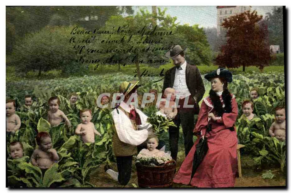 Familie mit Kindern im Garten — humorvoller Szene — Serie 346, Verlag Union postale universelle - Vorderseite