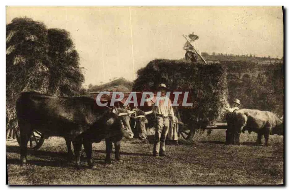 Cena agrícola com carruagens puxadas — Tipos de Auvergne, n°40, A Fenação — Edição de Luxo, Aurillac (Cantal) - Frente