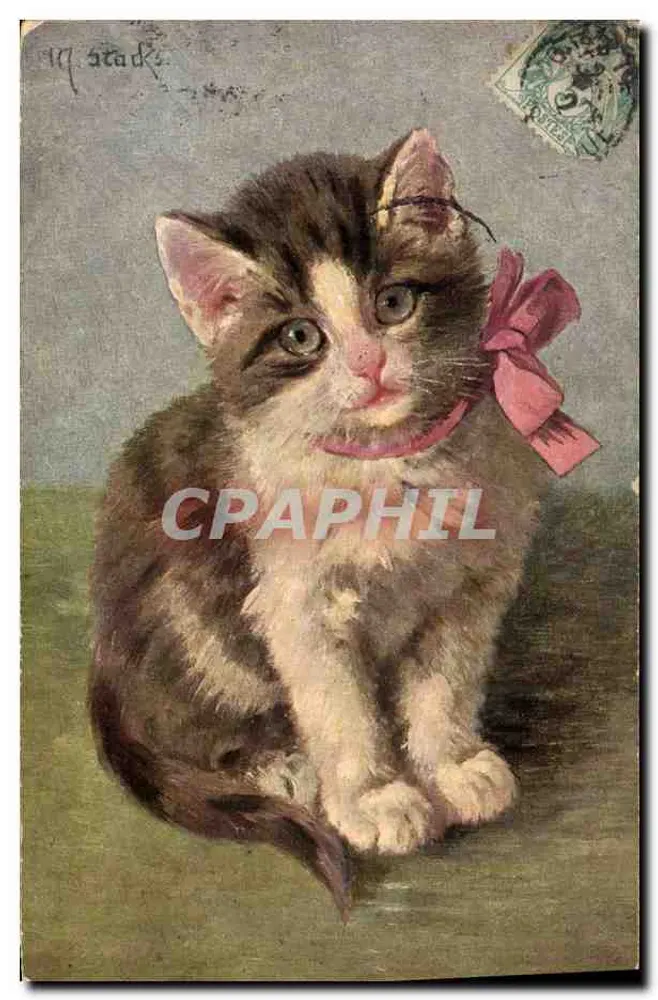 Gatinho com gravata rosa — desenho assinado 'M. Stacks' — série B2T - Frente