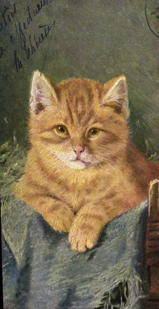 Gatinho ruivo — pintura — Th. Tore, série 1040 - Frente