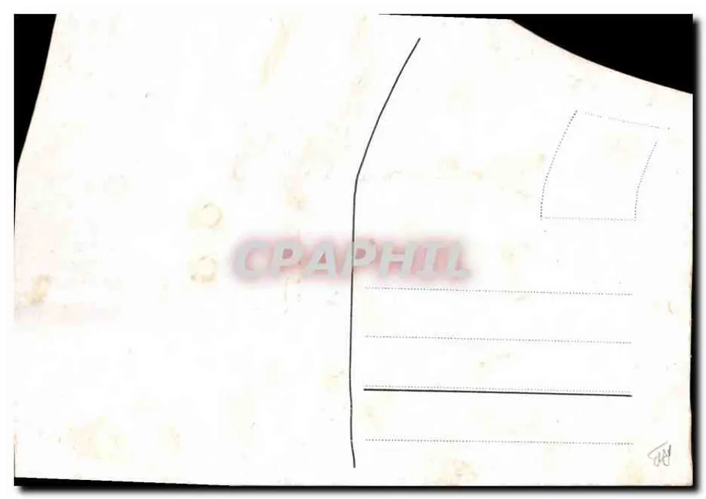 Cachorro branco e cinza sentado — retrato — editor desconhecido, número de série não visível - Verso