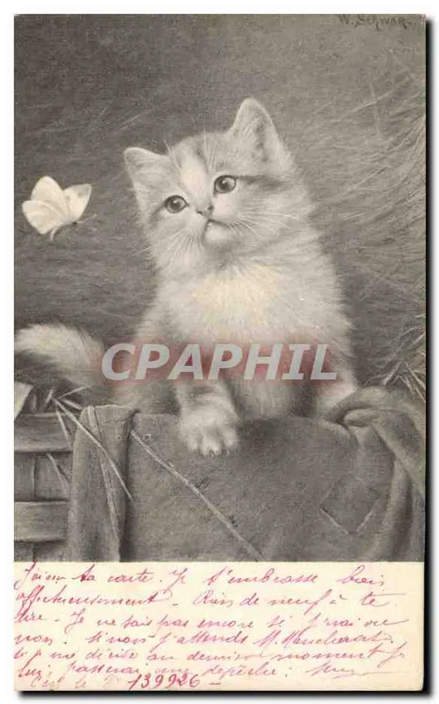 Chaton — Papillon — W. SCHWAR - Frente