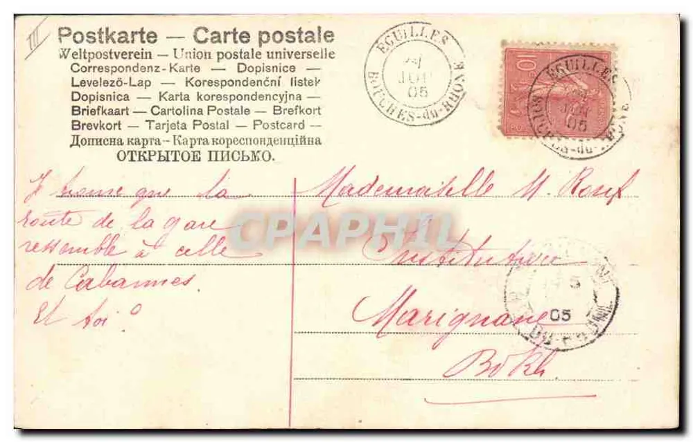 Chaton — Papillon — W. SCHWAR - Verso