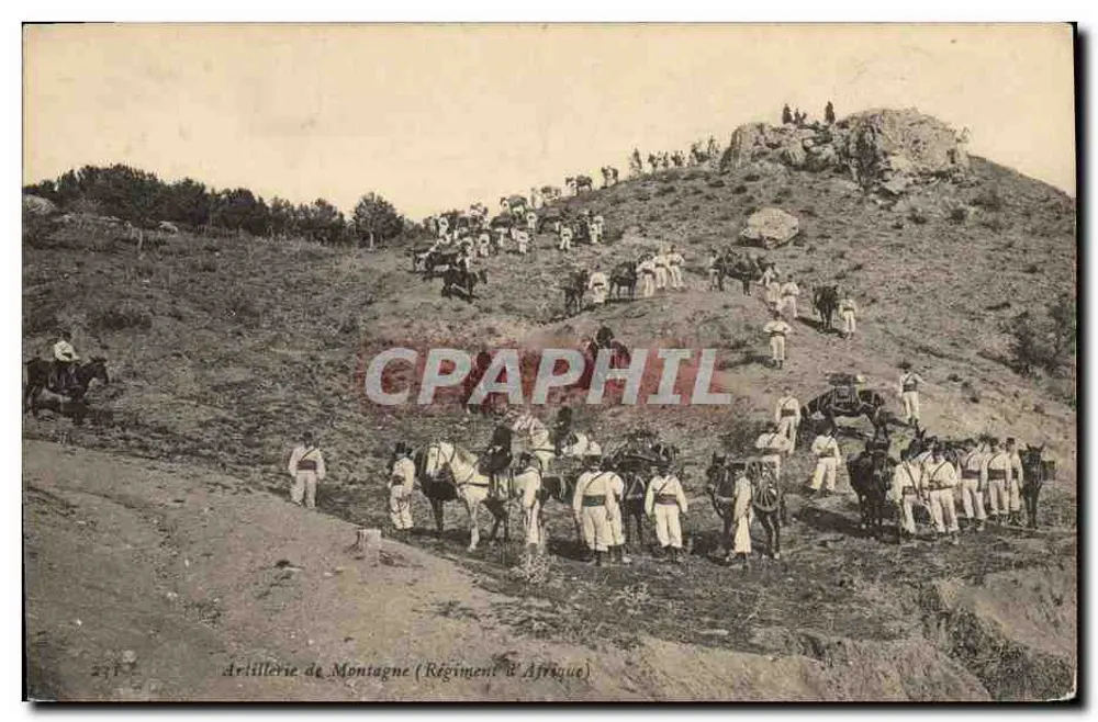 Kavallerie der Bergartillerie (Afrikanisches Regiment) — Soldaten und Pferde auf bergigem Gelände — unbekannter Verleger, Nr. 2317 - Vorderseite