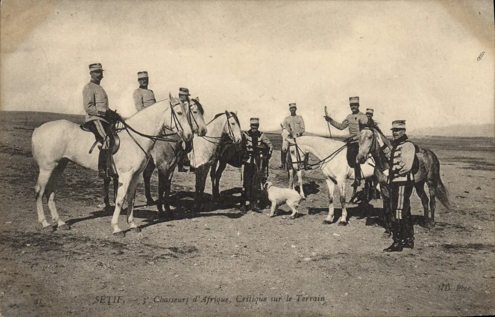 Sétif — Afrikanische Jäger, Kritik am Feld — ND Fotografie - Vorderseite