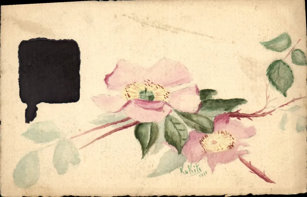 Flores rosas — pintura aquarelada — Kakits 1911 - Frente