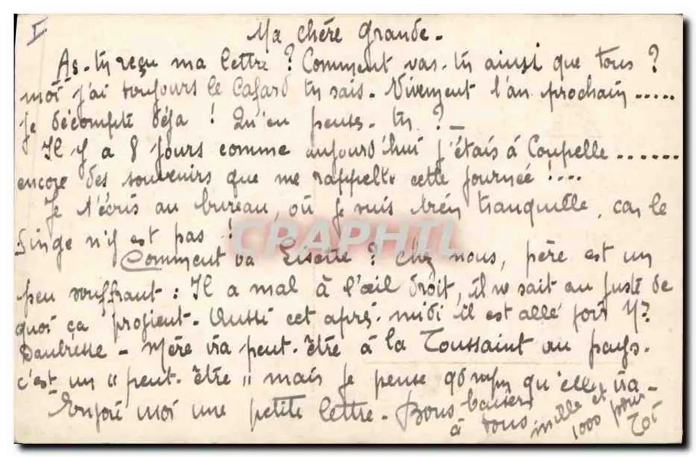 एक युवा महिला और बिल्ली — फोटो स्टूडियो — प्रकाशक लिली, संख्या 812/4 - पीछे