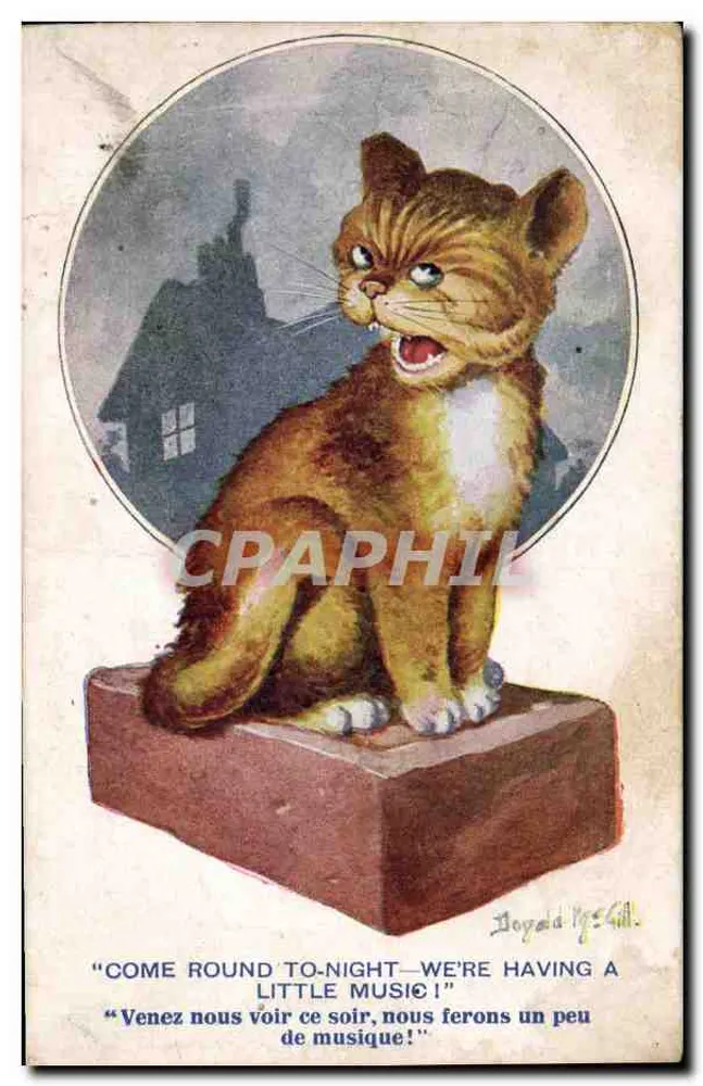 Gato — Convite para uma noite musical — Inter-Art Co., Florence House, Barnes, Londres - Frente