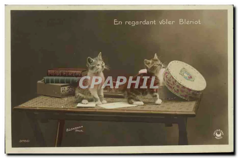 Zwei Kätzchen beobachten Blériot beim Fliegen — ELOHMANN Phot. n°3760 - Vorderseite