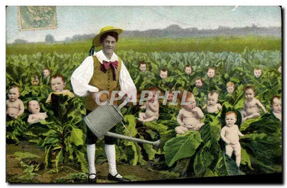 Mulher regando bebês em um campo de tabaco — série 348 - Frente
