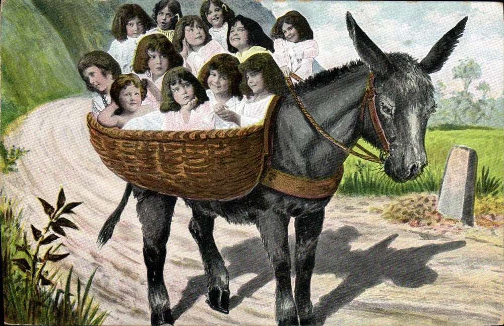 Kinder in einem Korb auf einem Esel — Serie 310, Nr. 24 — Universal Postal Union - Vorderseite
