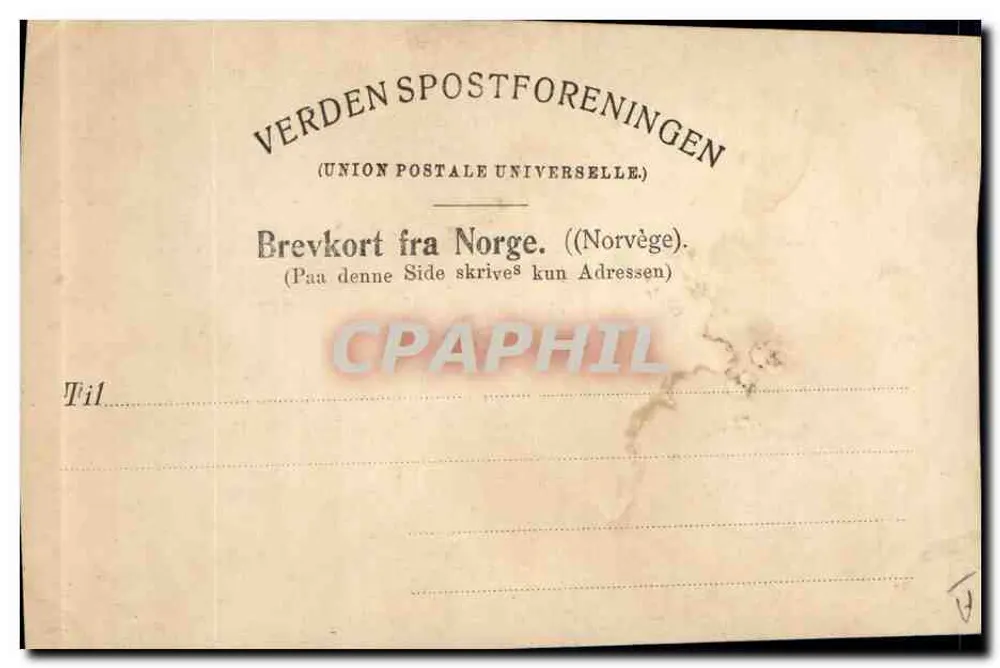 Jeune homme en costume norvégien — Numedal — éditeur MITTET & CO, n° 556 - Verso
