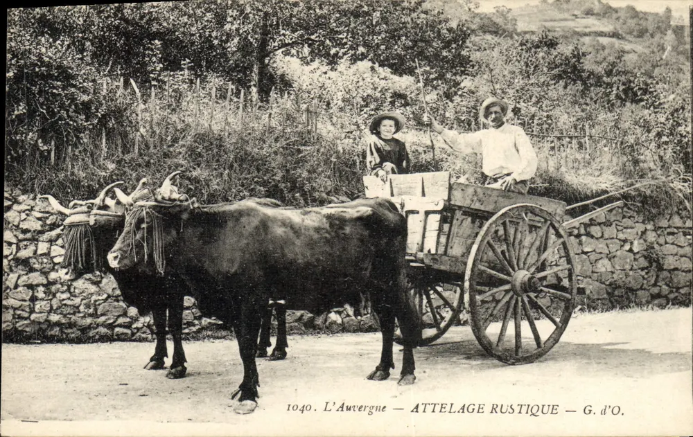 L'Auvergne — Attelage rustique — G. d'O. - Frente