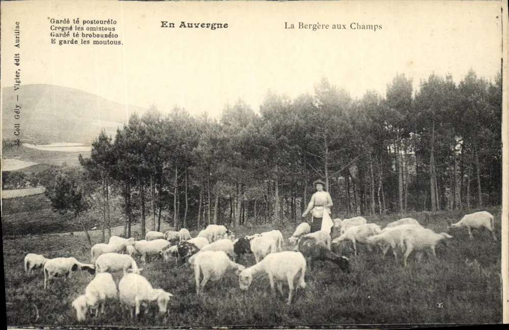 Die Schäferin auf den Feldern — In Auvergne — Coll. Gély, Verlag Vigier - Vorderseite