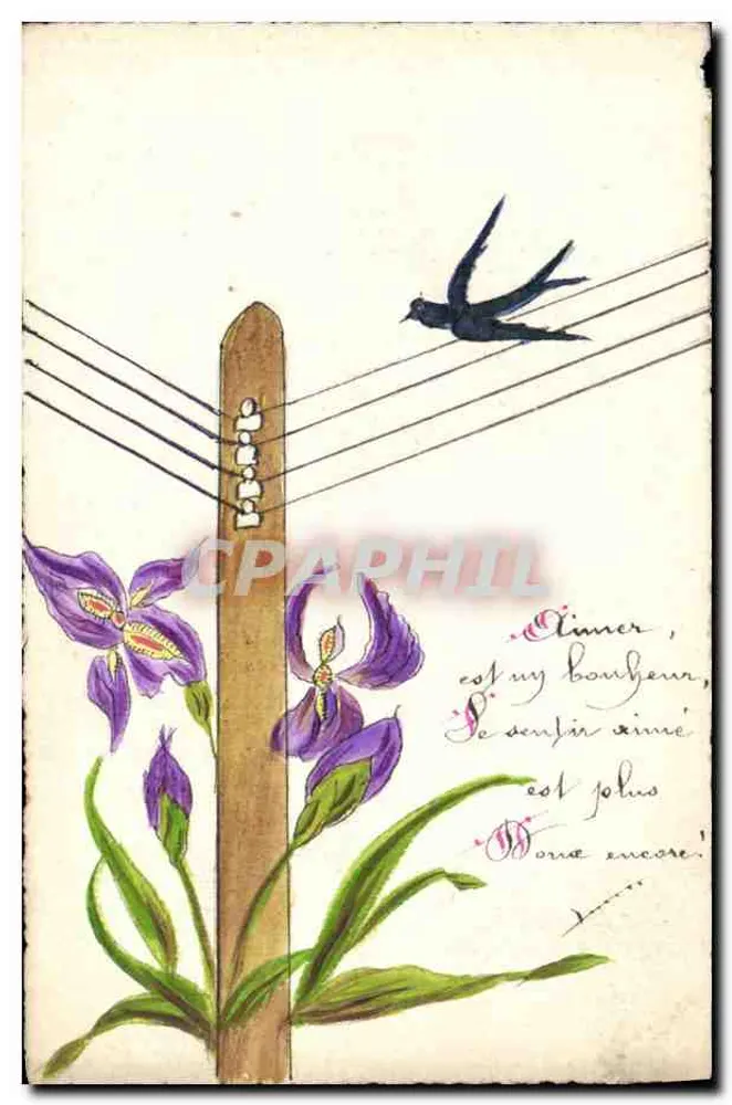 Íris e andorinha — cartão postal ilustrado — texto manuscrito - Frente