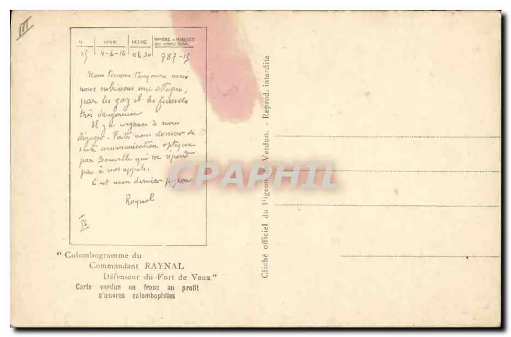 Taube — Verdun-Central 787-15 — Offizielles Taubenfoto - Rückseite