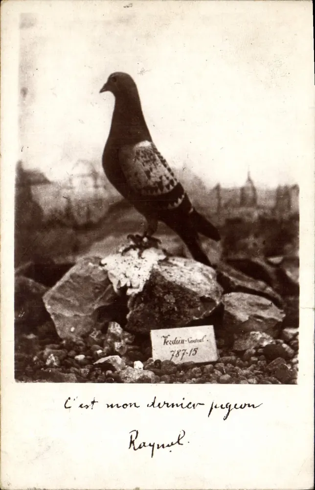 Pigeon — statue sur rocher — éditeur Verdun-Sentral, n° 787-15 - Vorderseite