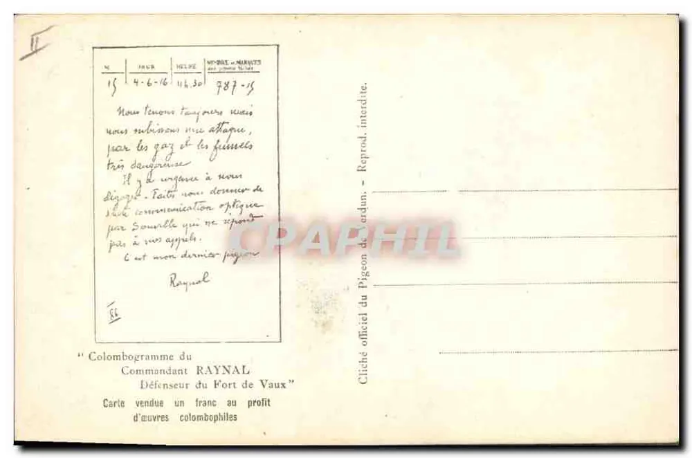 Papagei — 'C'est mon dernier pigeon' — Raynal, Verleger Térdin-Central, Nr. 787-15 - Rückseite