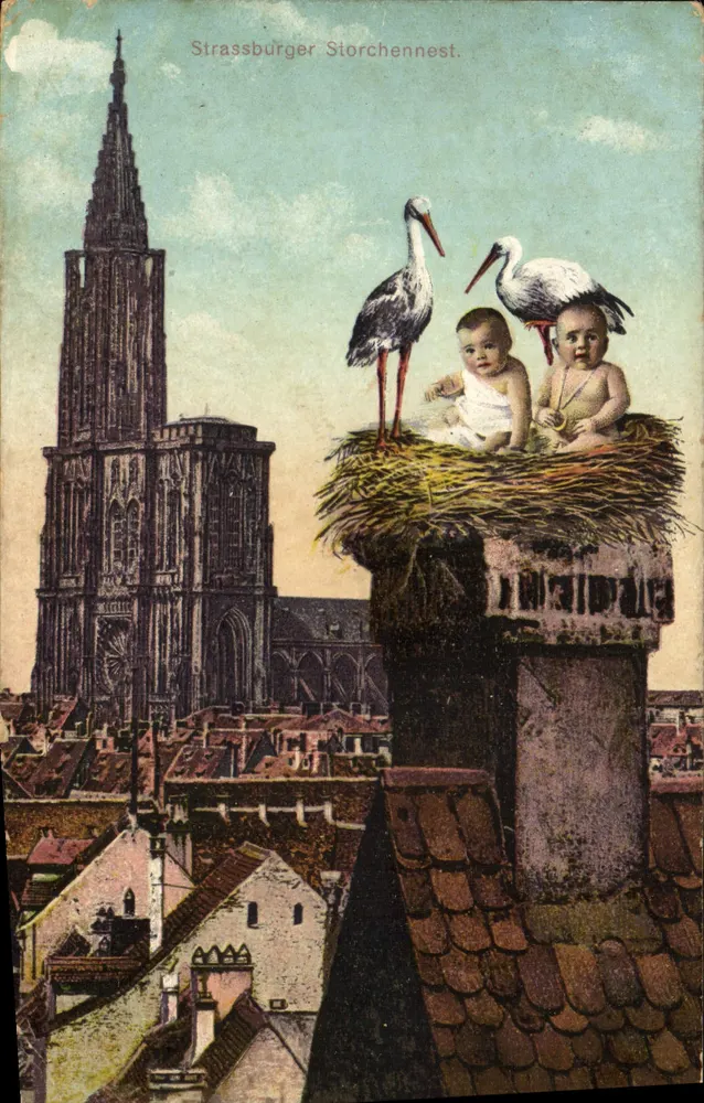 Straßburger Storchennest — Storchennest mit zwei Babys — Verlag KUNSTVERLAG E. HARTMANN, STRASSBURG I. E. - Vorderseite