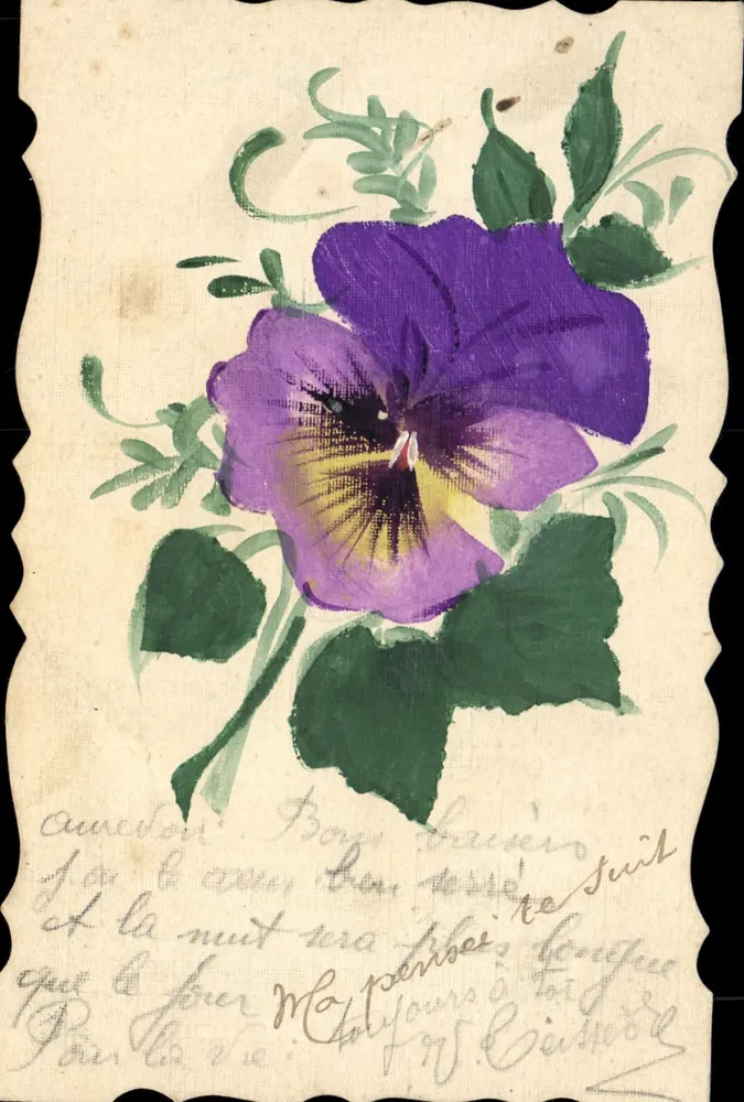 Pansée violeta — ilustração pintada — carta postal manuscrita - Frente