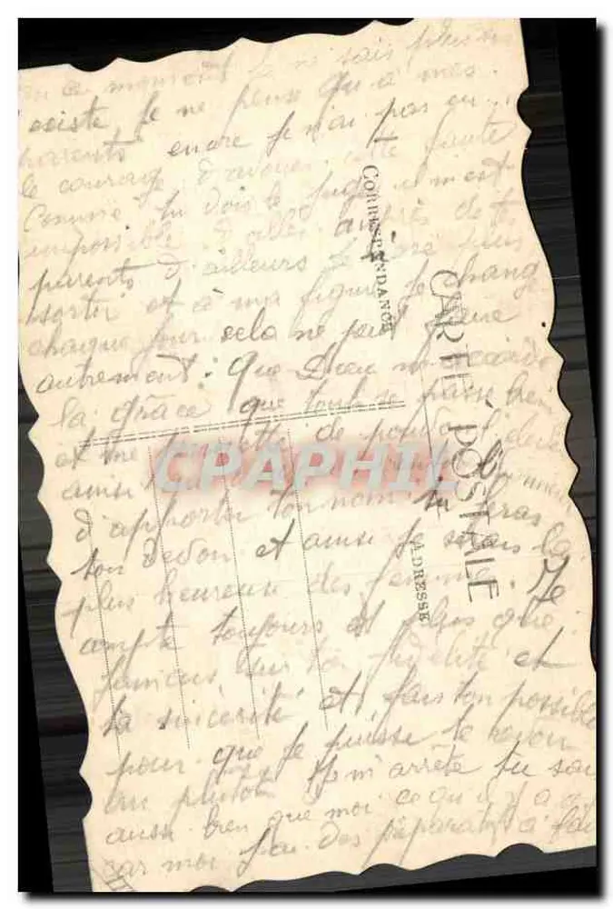 Pansée violeta — ilustração pintada — carta postal manuscrita - Verso