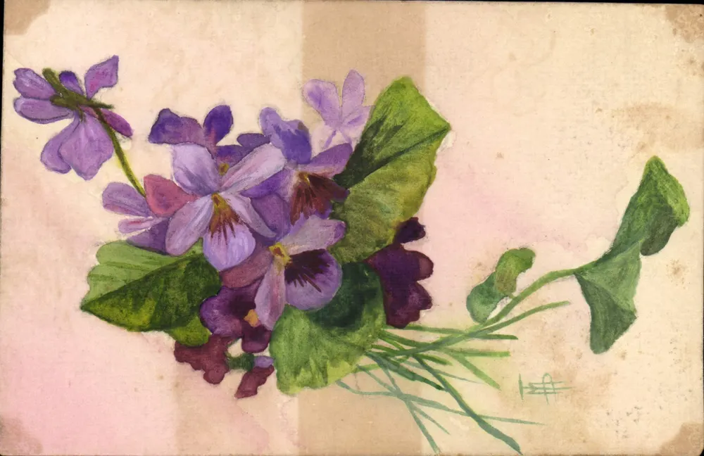 Flores de violeta — pintura aquarelada — assinada 'H.F.' — série III - Frente