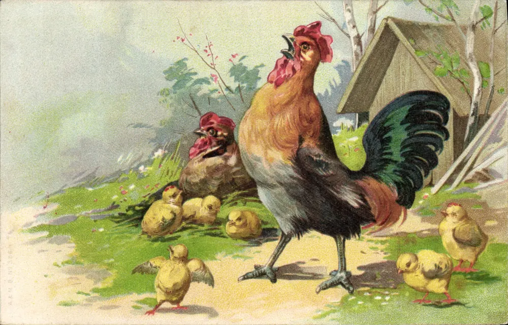 Galo e pintos — cena de fazenda — editor A. KEMB, n° 364 - Frente