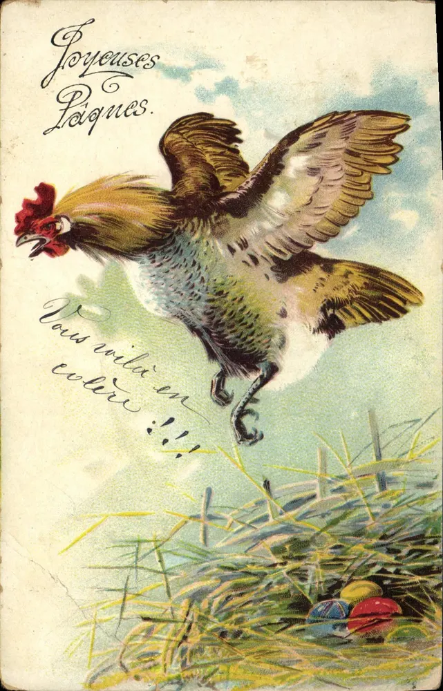 Coq volant au-dessus d'un nid — éditeur 'Carte postale' — série 2201 - Frente