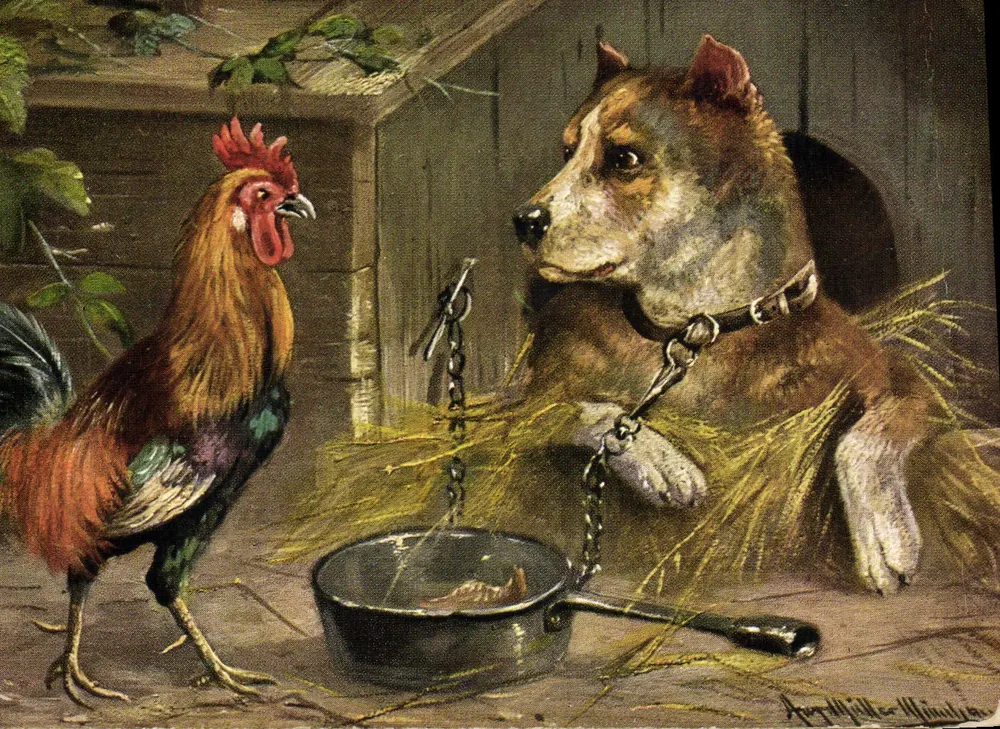 Pies i kura — scena zwierzęca — H.K. & Co. M. Série 523 (6 Désa) - Awers