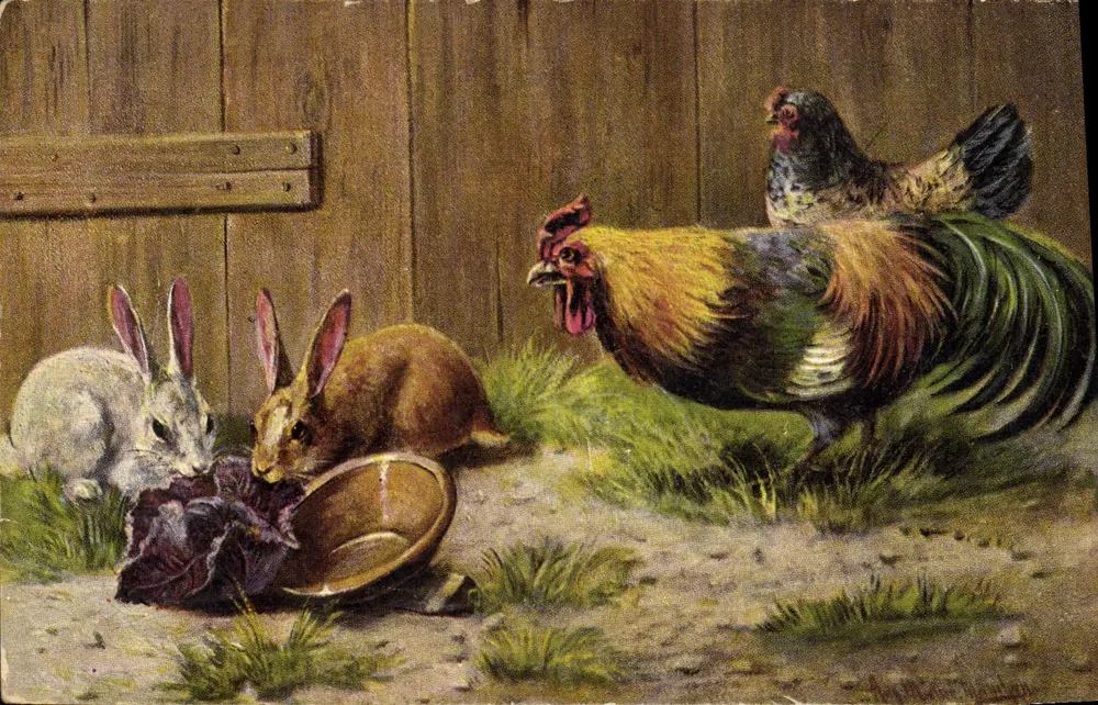 Animais de fazenda — coelhos e galinhas — K.F. Fortuns Paris, série 743 - Frente
