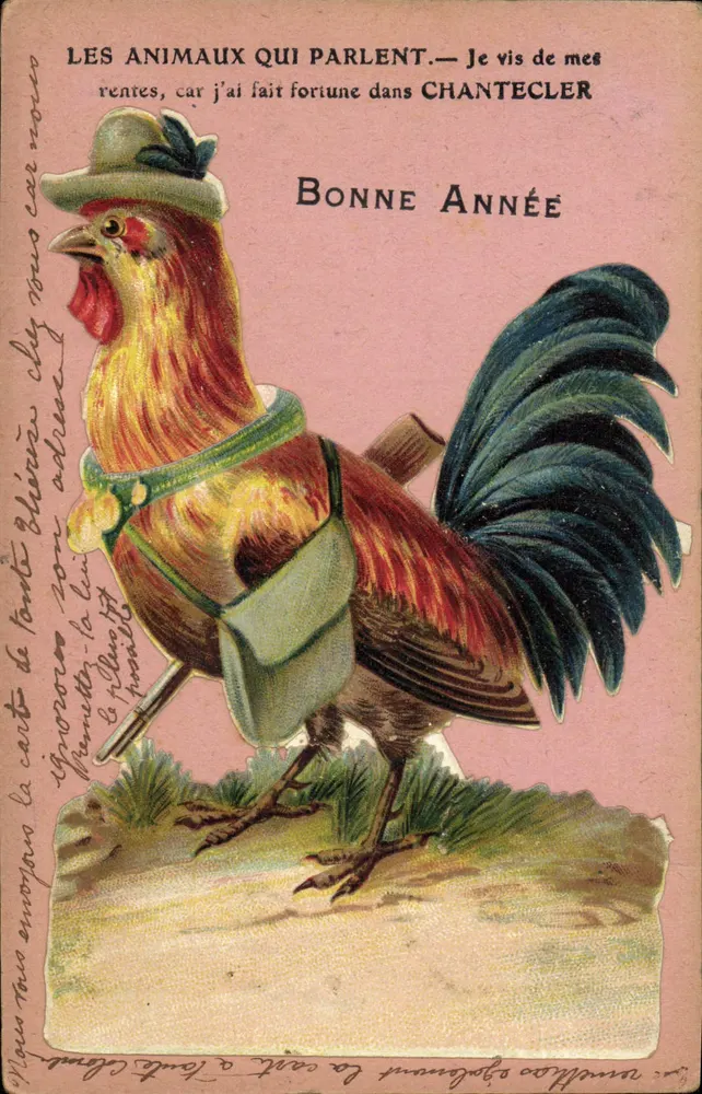 Kurczak mówiący — Chantecler — A. P. Laclau, Toulouse - Awers