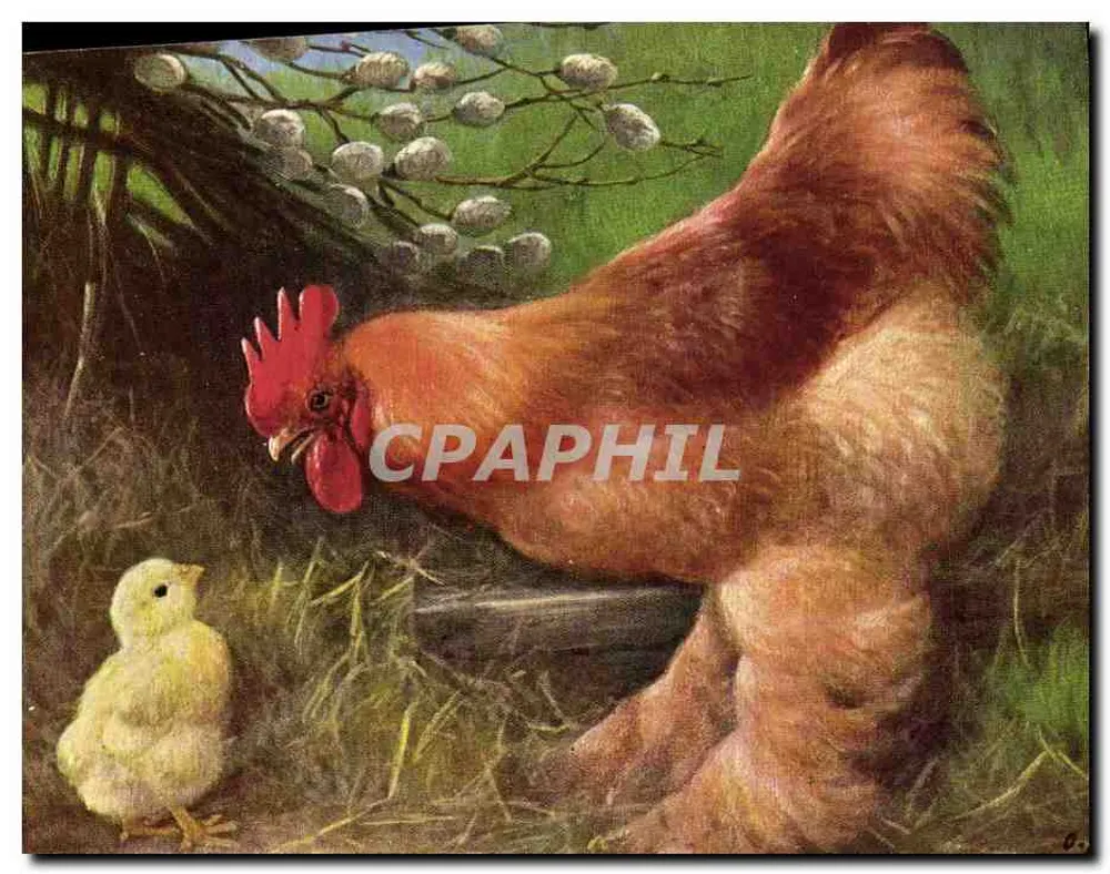 Galinha e pintinho — sob as saias de salgueiros — T.S.N. Série 902, editor Dusseldorf - Frente