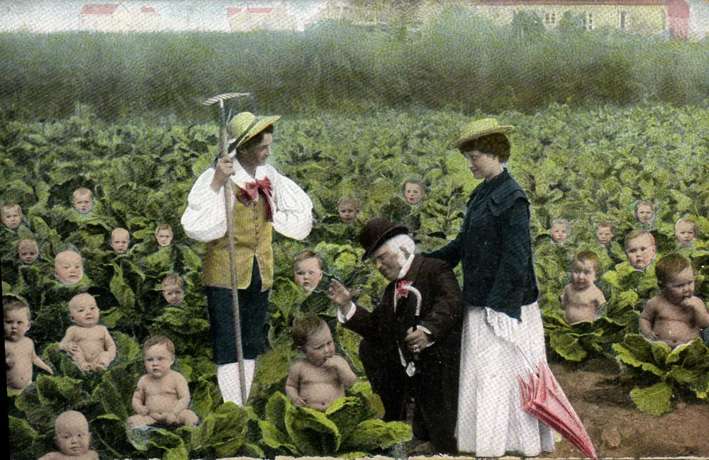 Familie in einem Kohlfeld — n°346 - Vorderseite