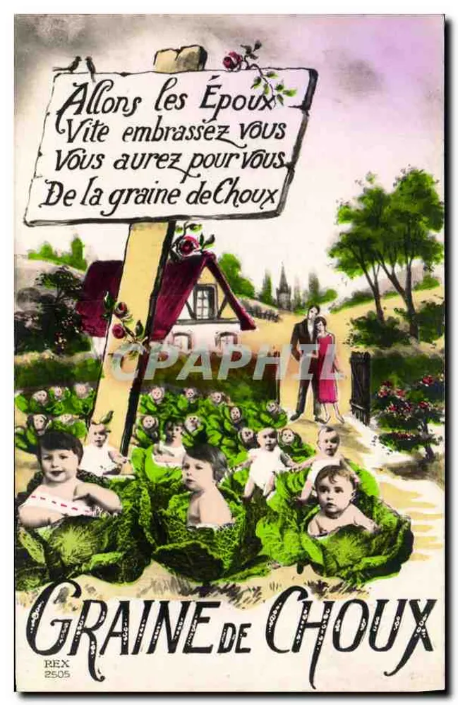 Kohlensamen — humoristische Werbung — REX 2505 - Vorderseite