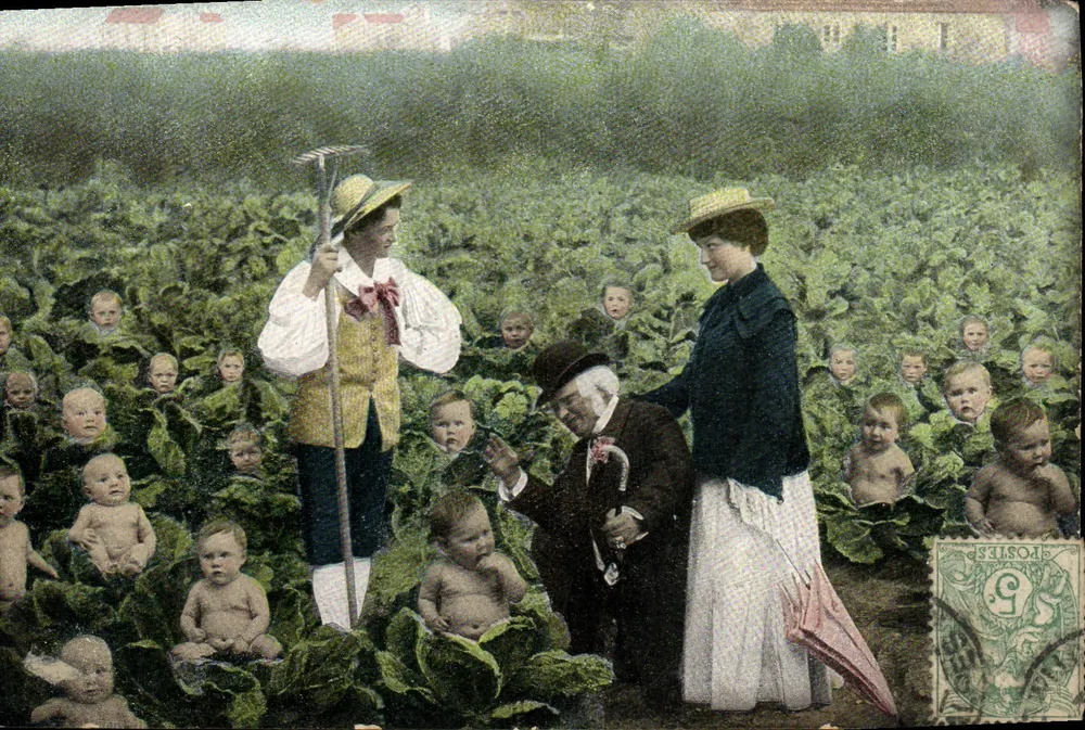 Familie in einem Kohlfeld — Verlag Weltpostverein, Serie 348 - Vorderseite