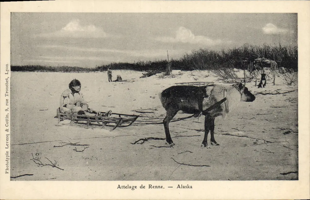 Rentierschlitten — Alaska — Phototype Levenq & Cottin, Lyon, rue Tronchet, 9 - Vorderseite